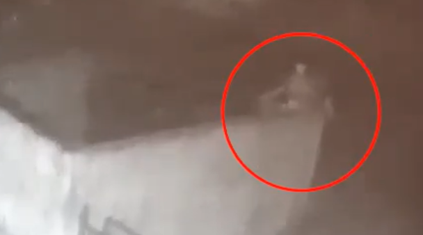 Տեսանյութում պատկերված քաղաքացին գետն է գցում Մյասնիկյան պողոտայի երկու աղբամանները։  Կենտրոն վարչական շրջանի աշխատակազմը արդեն իսկ դիմել է ոստիկանություն